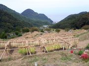 h`bN̐Ε̒Ic W]̓eʐ^3