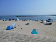 Lemon salt̎C̓eʐ^2