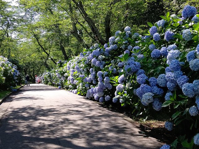 �����������[�h_���_�o�R