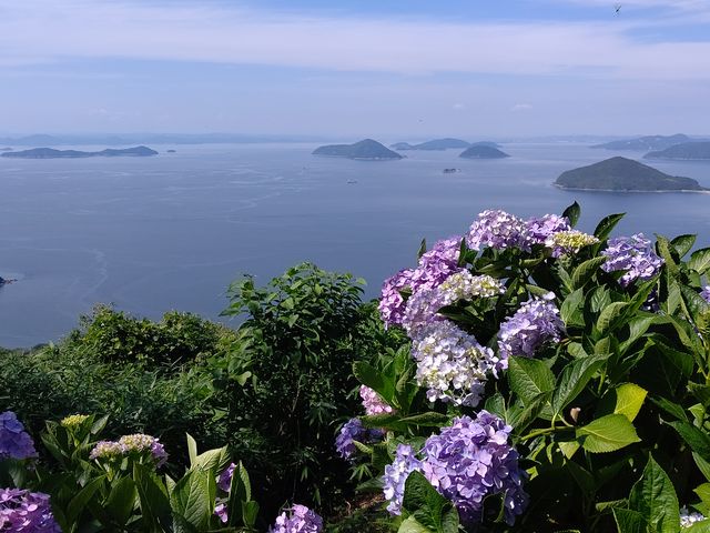 ���������Ɛ��˓��C_���_�o�R