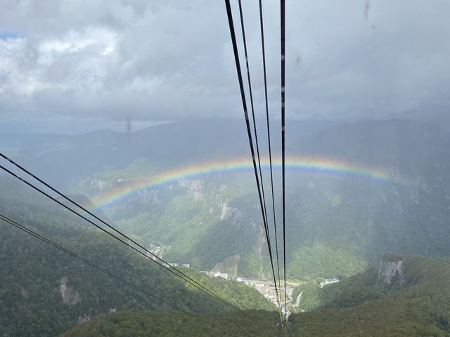 ��Ղ̓��I_���R�w�_���E���x���[�v�E�F�C