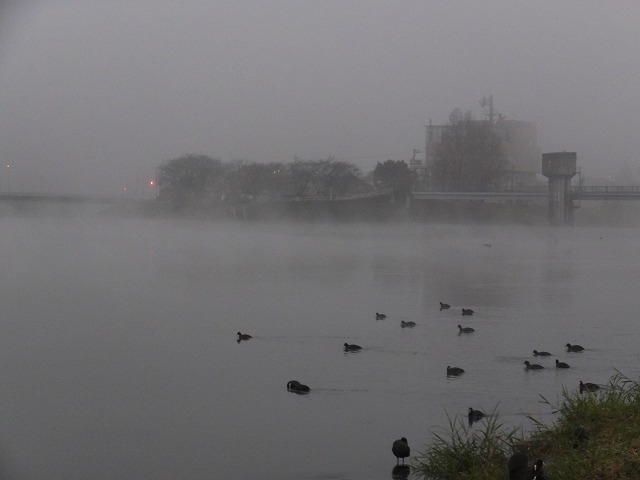 ~̒ȂƂ̕i
oQĂ܂_OG