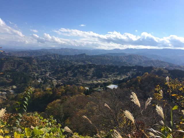 �����̒I�c���ォ��B_�������HOME HOME NIIGATA