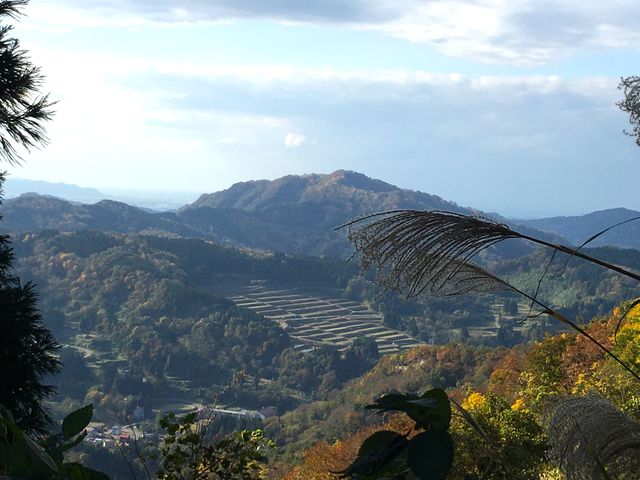 �I�c�ƎR�ƊC�������Ɍ����܂����B_�������HOME HOME NIIGATA