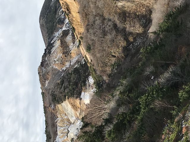 �I�J�}�́A�߂����ȁA���X�A�Ⴊ����B_�����G�R�[���C��