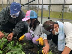 ܂邳̑̌_uƂƃt@[vւ̓eʐ^1