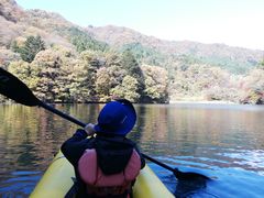 ЂȂ̃hbv@AEghAKChT[rXւ̓eʐ^1