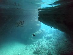 񂳂̃_Cu (MalDive)ւ̓eʐ^1