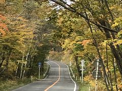 ɂ񂳂̑GR[Cւ̓eʐ^1