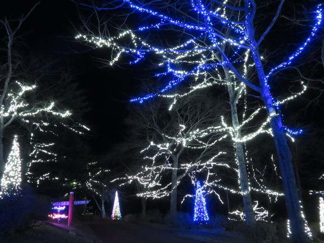 �T���^�����h�̃C���~_��ێR�X�ь���