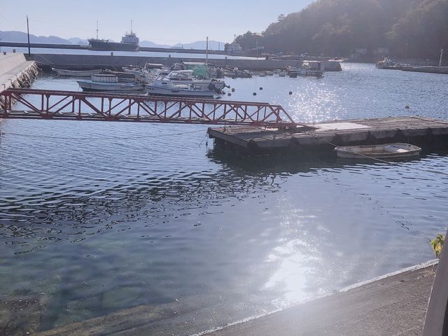 �_�C�r���O����C_�_�C�r���O�L��SEAEGG