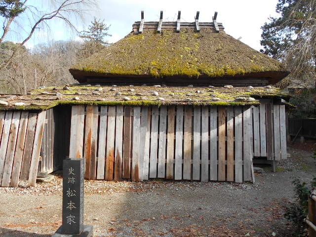 ��͂��̏��{��_���{��