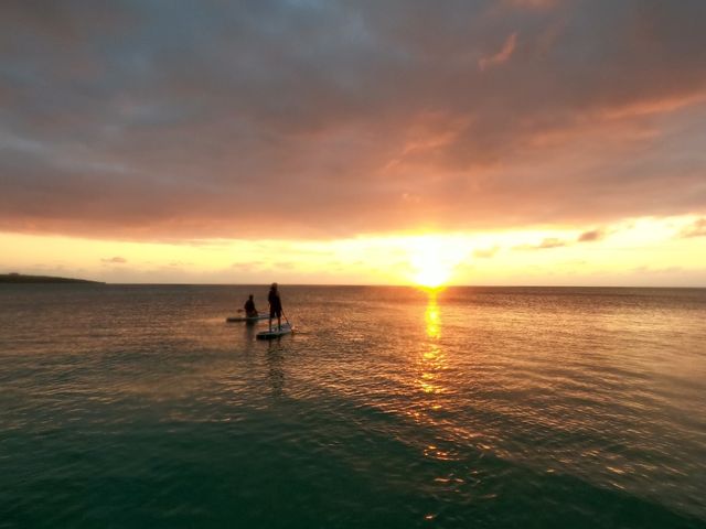 �f�G�Ȏ���_Mo�fo SUP