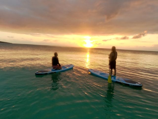 ��sup!_Mo�fo SUP