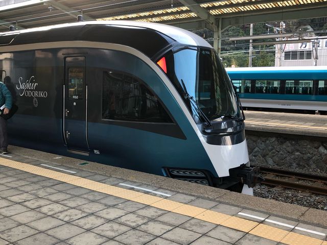 �T�t�B�[���x��q_�ɓ��}���c�w