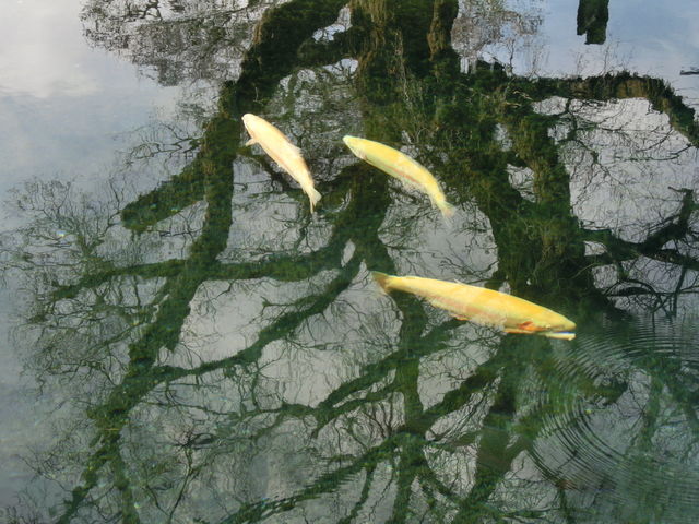 E씪C@r@
Arm̃jW}X
_E씪Cr{