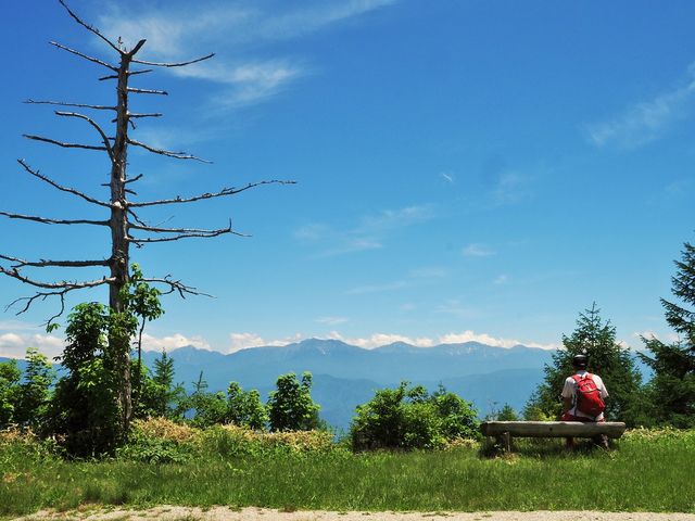 �{�c����_�{�c����