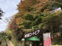 ����傤�܂�����̓��}�g���[�g�s�A�ւ̓��e�ʐ^1