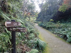 �}�C�a�n�n����̋��򎩑R�����ւ̓��e�ʐ^1