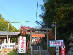 �݂����񂳂�̗R���_�Ђւ̓��e�ʐ^1