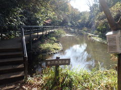 �}�C�a�n�n����̋��򎩑R�����ւ̓��e�ʐ^1