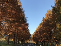 Shotã^ZRCA؂ւ̓eʐ^1