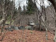 hijikigokȇD̓eʐ^3