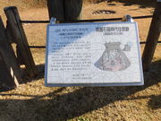 n̍푺Ί펞ZՂ̓eʐ^1