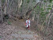 �͒j�N����̘@�䎛�̓��e�ʐ^1