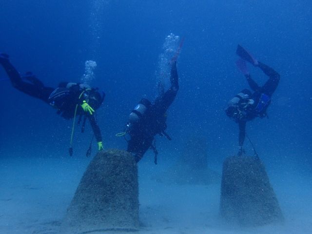 ӂ_tďH~FourSeason's