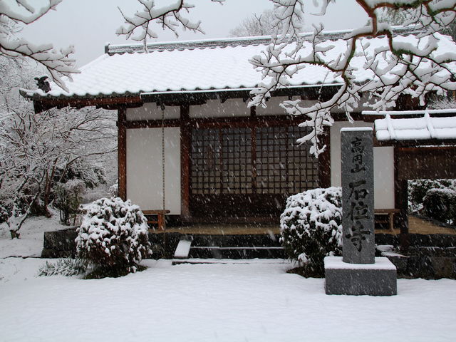 ������񂳂�̐Έʎ��̓��e�ʐ^1