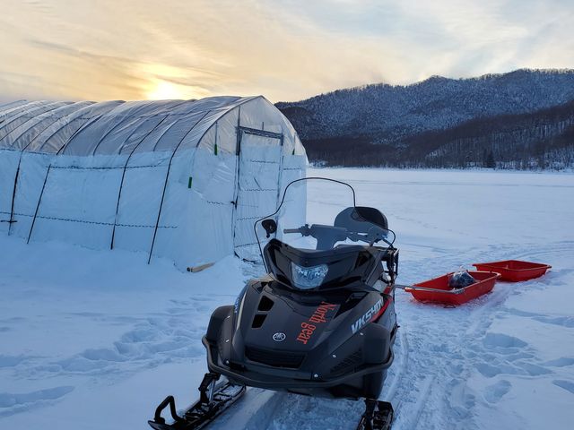 �ނ���I���Ė߂�Ƃ��̎ʐ^(�[��)�B���̃\���ɏ悹�Ă���܂����B_���Ȃ�܌΃L�����v��O�@�킩�����ނ�