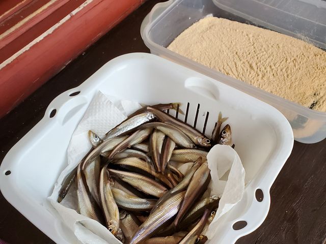 �I�v�V����(500�~)�ŁA�󂯕t�������œ��g���ɁB_���Ȃ�܌΃L�����v��O�@�킩�����ނ�