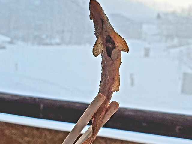 �q�����s���Ƃ��Ă�̂��V�N�ȏ؋��Ȃ�ł�����!_���Ȃ�܌΃L�����v��O�@�킩�����ނ�