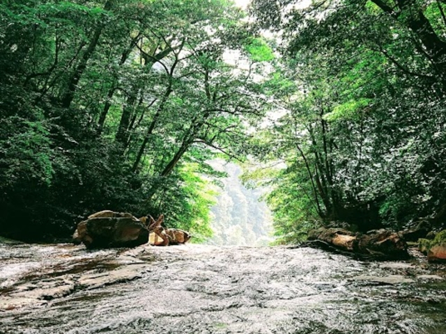 �۔���̐��_�۔���