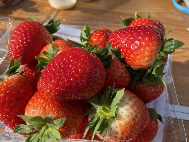 �X�[�p�[�Ŕ����Ă邢�������傫���Ăт����肵�܂�����_��{�ό��������g��