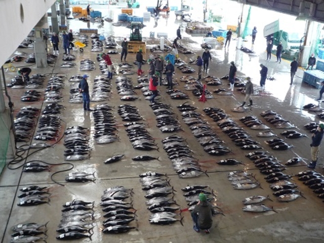 ���g�����ꂽ�܂���_���Y���`