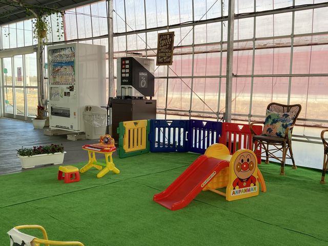 �q���̗V�я���L���Ȃ��Ă��܂����B_���R�t�@�[���g�`�m�x�t