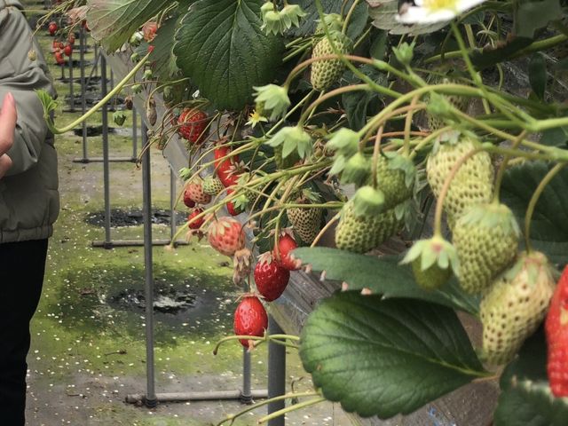 ���ݍ͔|�̂�������_��{��������