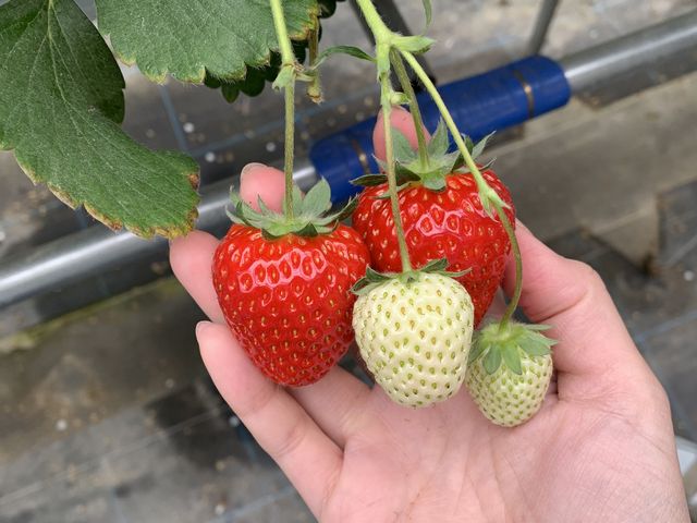 �������̉Ƒ��ł�_�x�ÃA�N�A�t�@�[��