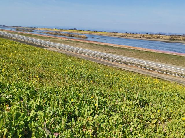 �����炵���ǂ������ł��B_���{������