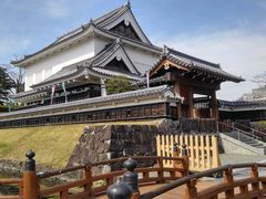 �A�X��������̏�����������ւ̓��e�ʐ^1