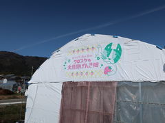 킳݂̂΂BunBun@NXP̑匴산񂫔ւ̓eʐ^2