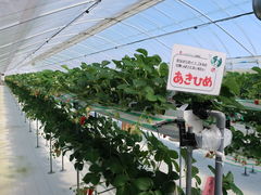 킳݂̂΂BunBun@NXP̑匴산񂫔ւ̓eʐ^3