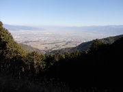 bt[̃GRpɓރ΂̓eʐ^2