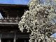 旅好きJさんの8番札所熊谷寺への投稿写真2