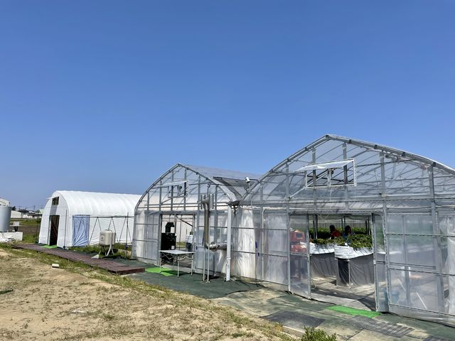 �����n�E�X����t���ł����B_strawberry farm �ӂ�����