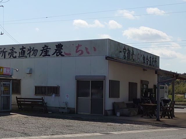 ��t�̌����ł��B
�������������ԏ�ł��B
���̐�Ƀg�C��������܂��B_��{�ό��������g��