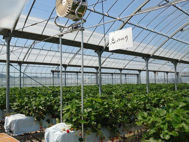 �r�j�[���n�E�X��_��{�ό��������g��