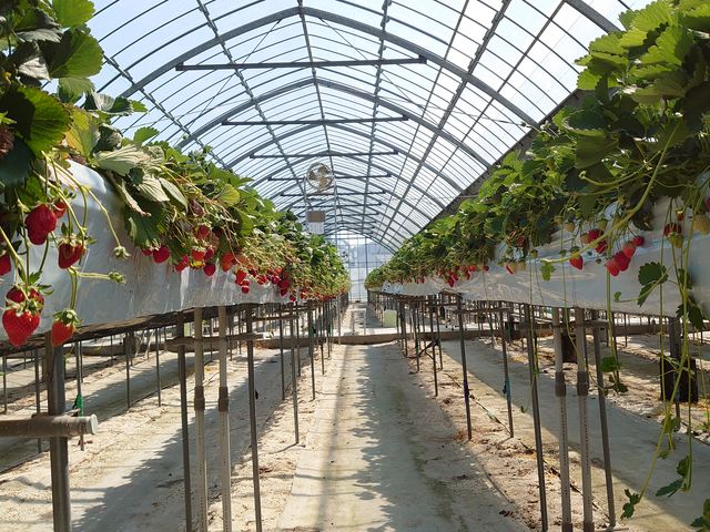 �r�j�[���n�E�X��_��{�ό��������g��